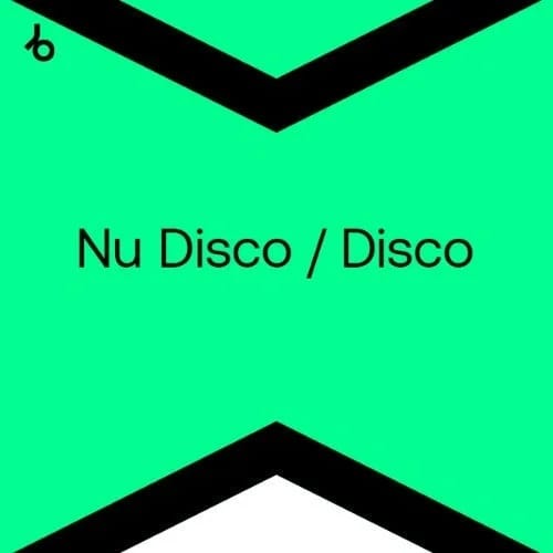 Beatport Top 100 Nu Disco & Disco December 2024